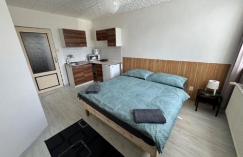 Bela pod Pradedem House | Penzion a Rybářská bašta U Jesetera