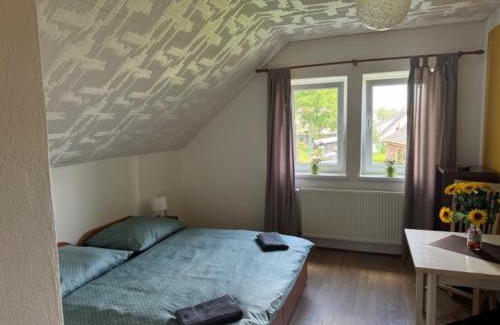 Bela pod Pradedem House | Penzion a Rybářská bašta U Jesetera