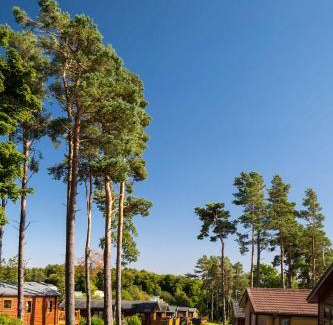 Swarland Resort | Percy Wood Country Park