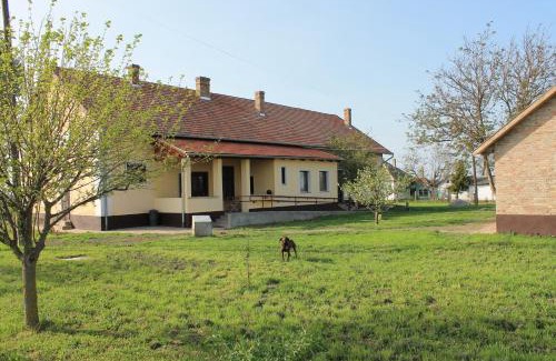 Mezohegyes House | Peregi Vendégház