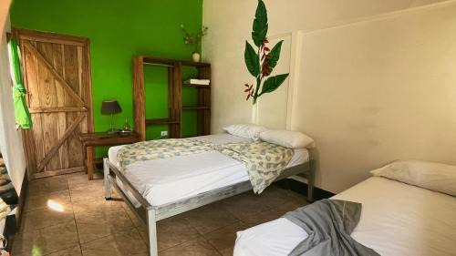 Cahuita Apartment | Perezoso Lodge