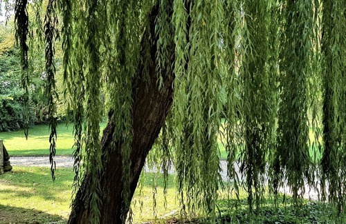 Schkeuditz Apartment | Perfect for trade fair visitors as well as for those curious about Leipzig