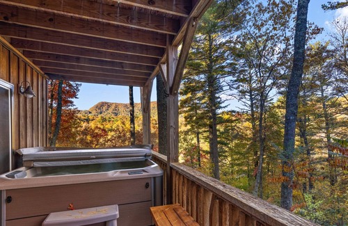Linville Falls Cabin | Perfect Mountain Cabin near Outdoor Activities