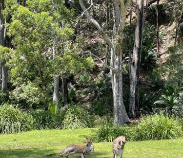 Maloneys Beach House | Perfect Pet Friendly South Coast Beach Getaway