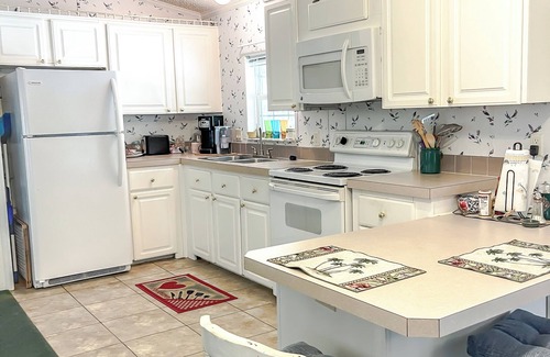 Suwannee House | Perfect Suwannee Getaway! Steps from the water with Elevator!