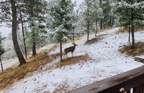 Ruidoso Cabin | Perfect Vacation 3BR Cabin Central Ruidoso-Not in Flood Zone