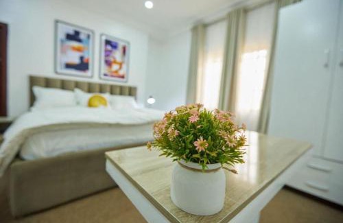 Kwara Apartment | Peridot Apartment Central Area, Abuja