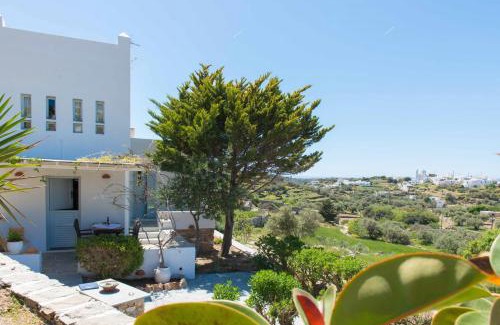 Apollonia House | Peristeronas house sifnos - Dove Cot sifnos
