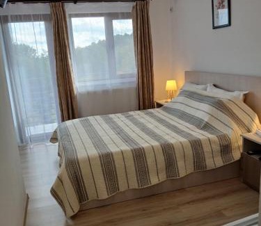 Albestii Paminteni House | Perla Argesului, Ciubar, Piscina, Lift, Gratar, Cabana, Pensiune, Hotel Cazare Transfăgarasan Curtea de Arges