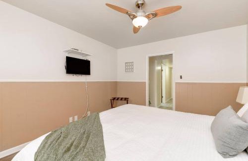 Little Italy Apartment | Perla D'Italia -1BR- FREE Driveway Parking -1 Car