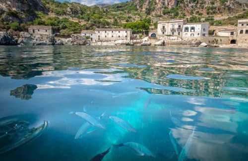 Castelluzzo Apartment | Perla di Mare Appartamenti