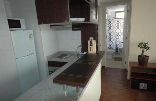 Downtown Santiago Apartment | Personal Aparts Bellas Artes