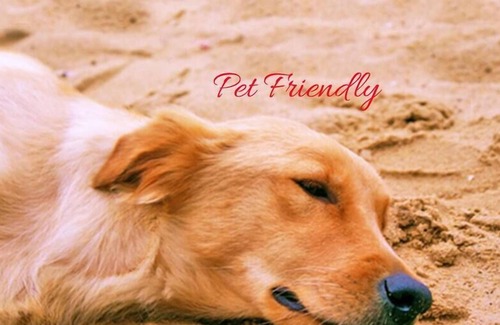 Greenwell Point House | Pet Friendly - BBQ - Family Friendly