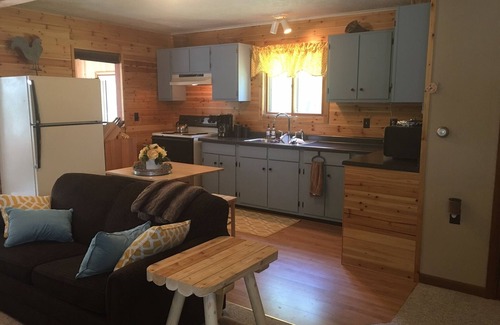 Thompsonville Cabin | Pet-Friendly, Betsie River Retreat - Sleeps 10 - Ski, Fish, and More!