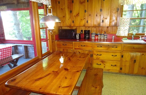 Naples Cottage | Pet friendly, cozy Maine log cabin surrounded by woods with beautiful views!