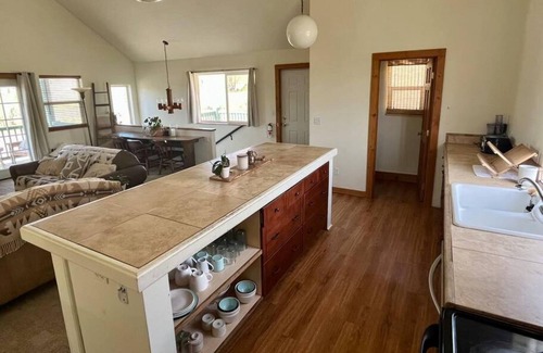 Pagosa Springs House | Pet Friendly Downtown Green Cabin Haven