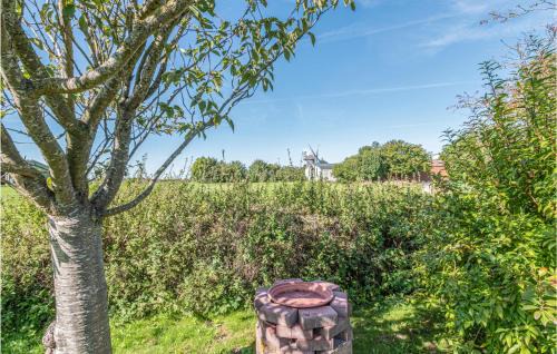 Friedrichskoog House | Pet Friendly Home In Friedrichskoog