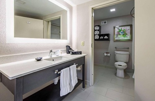 Clemson Hotel | Pet-Friendly Hotel Perfect for Family & Business Stays | Near Dowtown