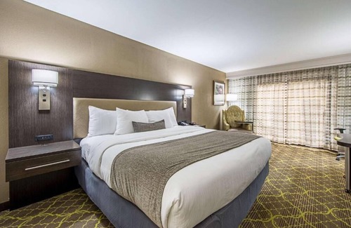 Clemson Hotel | Pet-Friendly Hotel Perfect for Family & Business Stays | Near Dowtown