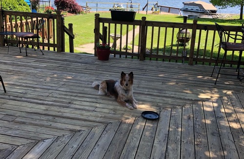 Norton Shores House | Pet Friendly Lakefront Beach Cottage
