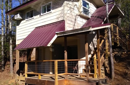 Brevard Cabin | Pet friendly Little House, Fire pit, paddle boat, 2 hammocks, porch swing, grill