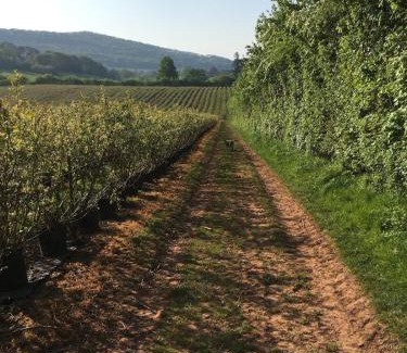 Ledbury House | Pet Friendly Manor House Hop Kiln