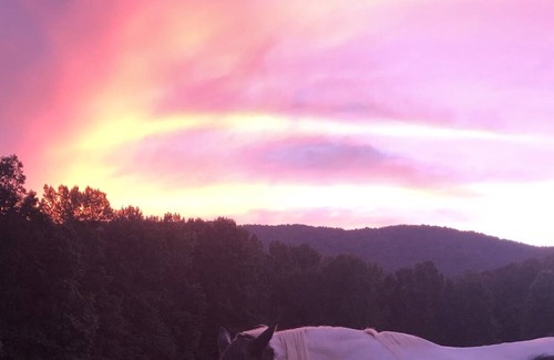 Cleveland House | Pet Friendly Mountain RV with Porch 10 min from Helen