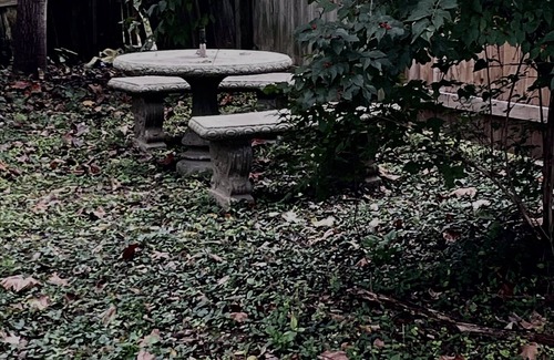 Madison Cottage | Pet friendly Nature Cottage: deck, trails, fire pit, creek, & historic district