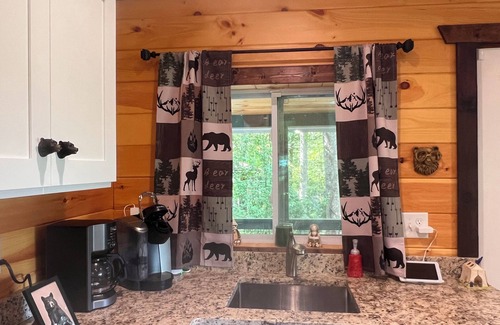 Hiawassee RV Rental | Pet friendly private Charming Bear cabin where cozy meets luxury. Mountain views
