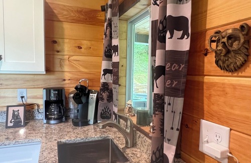 Hiawassee RV Rental | Pet friendly private Charming Bear cabin where cozy meets luxury. Mountain views