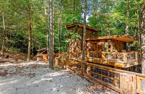 Rogers Cabin | Pet-Friendly Treehouse - Amazonia - an exclusive experience in Red River Gorge, Kentucky!