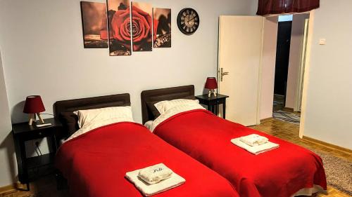 Dorcol Apartment | Peti