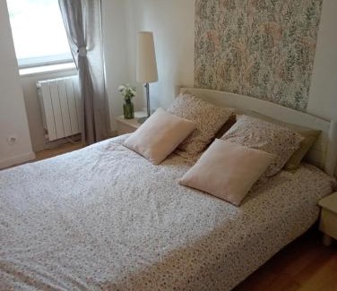 Curzay-sur-Vonne House | Petit moment de detente