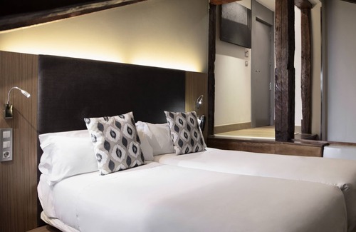 Centro Hotel | Petit Palace Plaza del Carmen