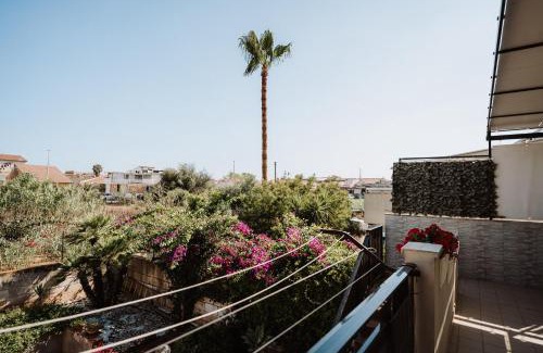 Caucana-finaiti-casuzze-finaiti Nord Apartment | PETITE MAISON