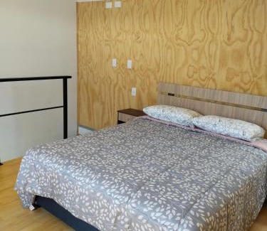 Valdivia Apartment | Petrohue I