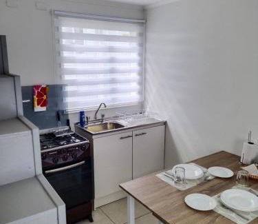 Valdivia Apartment | Petrohue I