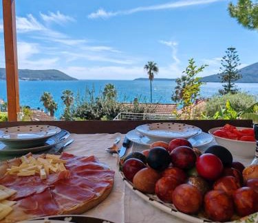 Herceg Novi Apartment | Petrovic house