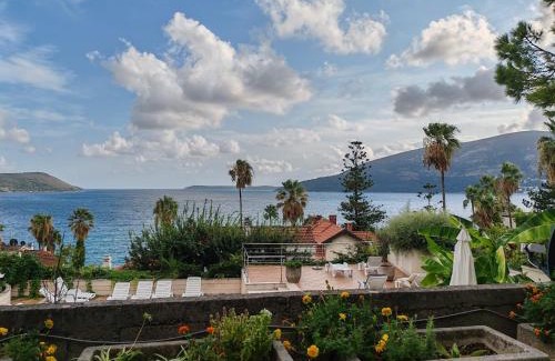 Herceg Novi Apartment | Petrovic house