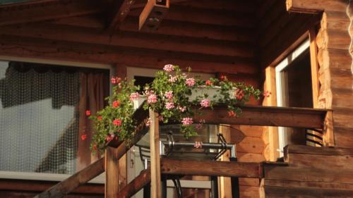 Yaremche Cabin | Petrovmotopunkt