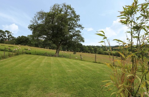 Disserth and Trecoed Cottage | Pheasant Wood