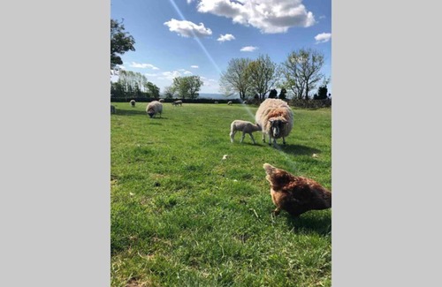 Barnard Castle House | Phil's Cottage Sleeps 2 one dog by prior permission