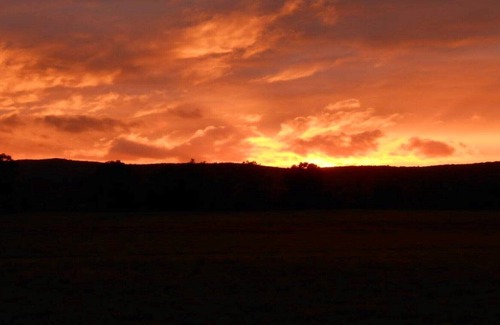 New Paltz Bed & Breakfast | Phillie's Country Comfort Space- New Paltz, N.Y.