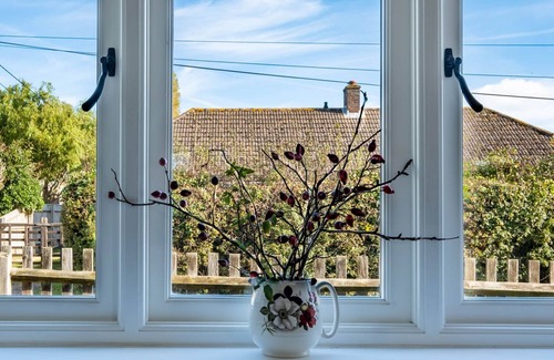 New Forest District Cottage | Picture perfect cottage 30 minute walk from wild beach or 10 minutes walk to pub