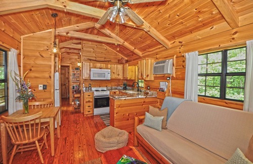Hot Springs House | Picturesque 16 acre Private Mountain Property - Two Cabins + bonus Cottage Suite