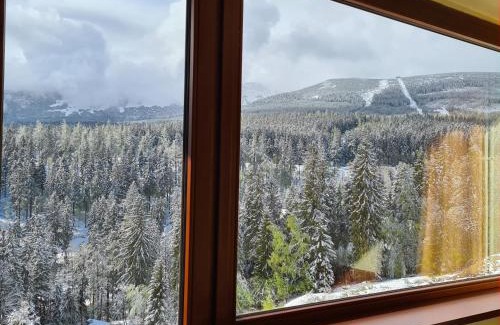 Bierutowice Bed & Breakfast | Piecuch