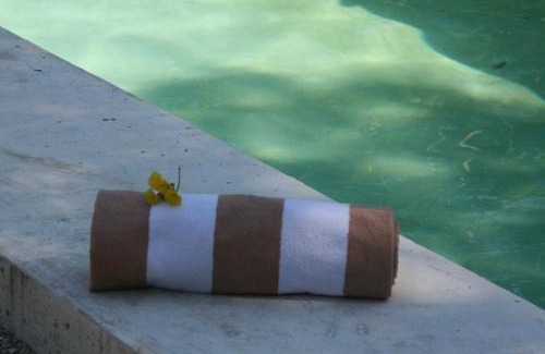 Palenque Hotel | Piedra de Agua Palenque