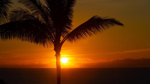 Kamuela Apartment | ❤PiH❤ Endless Ocean Views Villa Gorgeous Mauna Kea Ocean and Mountain View