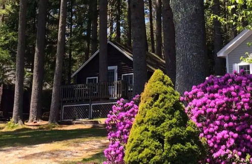 Lincolnville Cottage | Pine Grove Cottages: Cottage 3: Studio Cottage - Pet Friendly