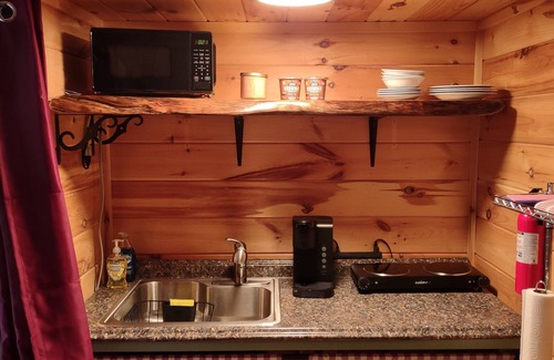 Jasper Cabin | Pine Ridge Cabin - A Cozy Getaway for Two near Jasper AR!